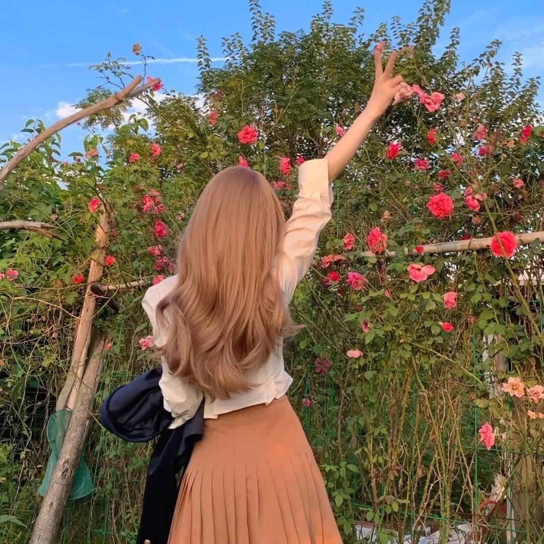 蜂蜜与四叶草第二季